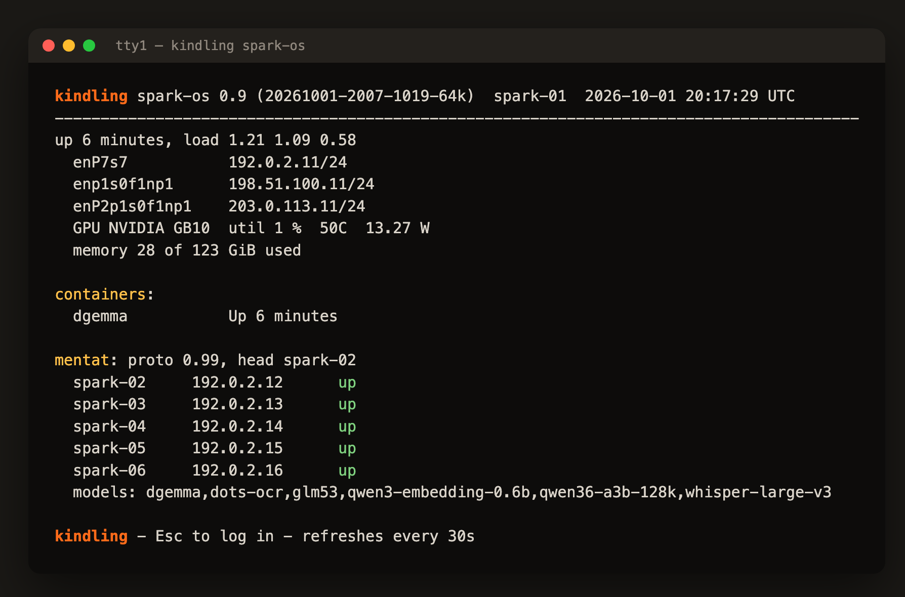 The Spark OS status screen on the console: image version, network addresses, GPU, memory, running containers and the cluster's nodes and models